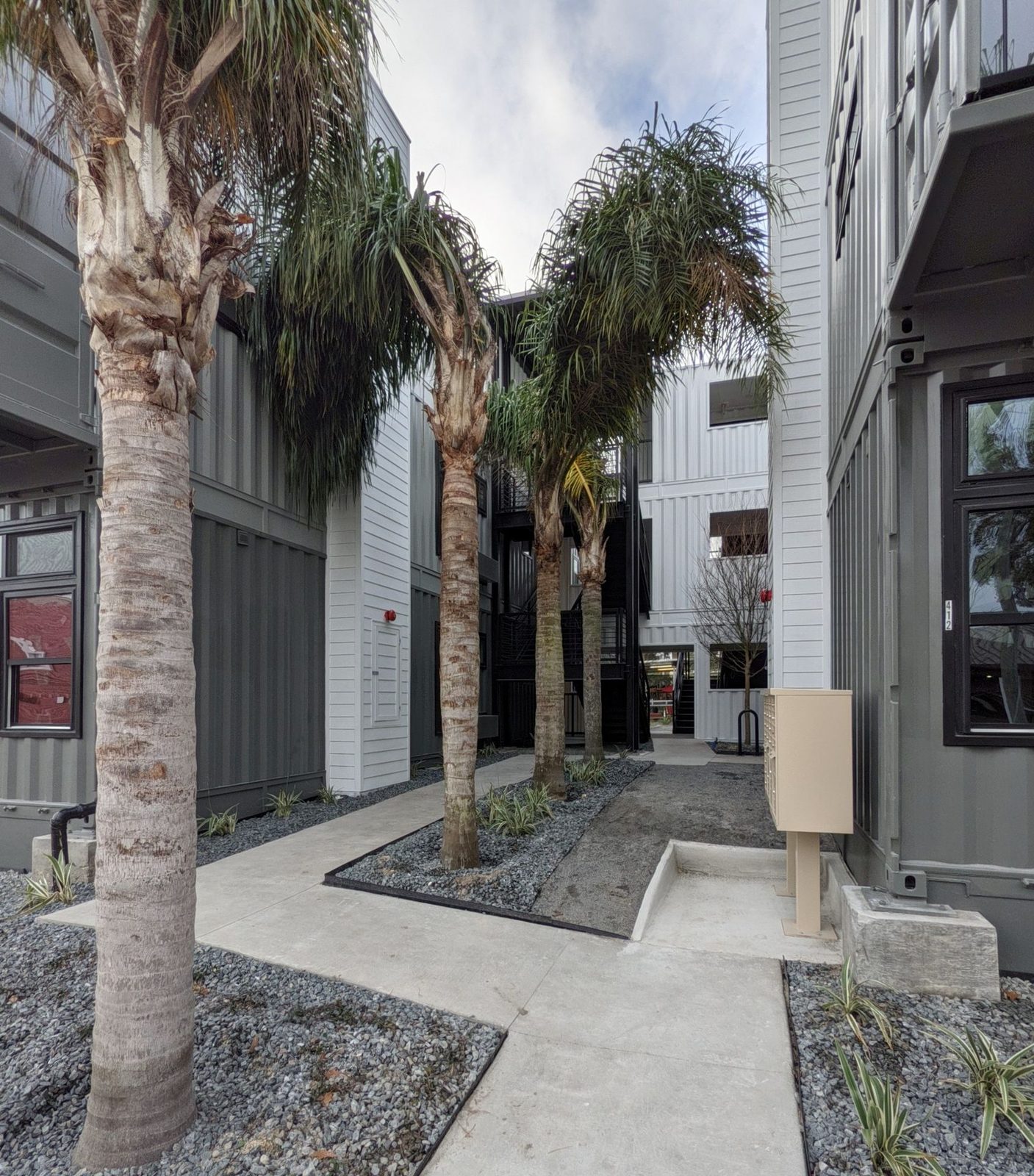 Palm courtyard between the container buildings at Ashley Lofts